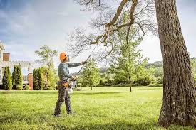 How Our Tree Care Process Works  in Waynesboro, GA